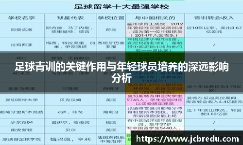 足球青训的关键作用与年轻球员培养的深远影响分析