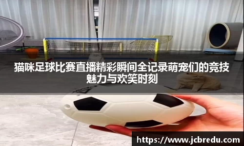 乐球体育直播在线观看