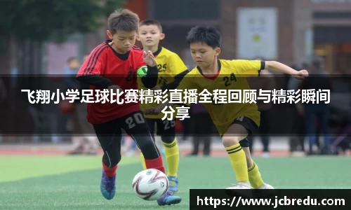 乐球体育直播