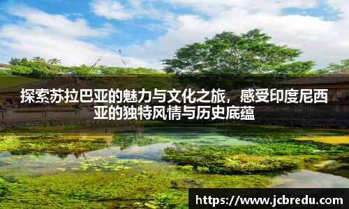 乐球体育直播在线观看